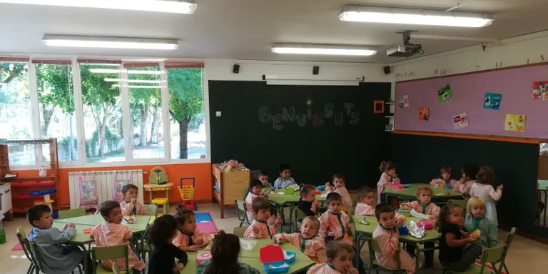 Els Comuns demanen que es desplegui el Servei Territorial d’Ensenyament a la vegueria de l’Alt Pirineu i Aran