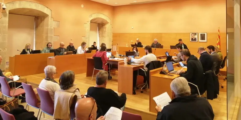 El ple aprova canvis en les retribucions d'alguns regidors