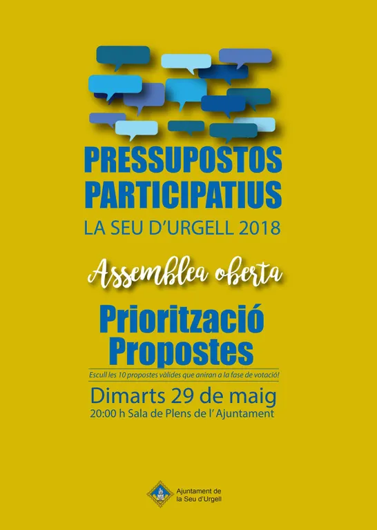 Assemblea oberta per decidir les propostes finalistes dels Pressupostos Participatius de la Seu