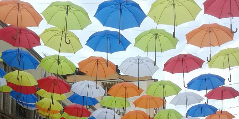 Esclat de colors a Alfarràs
