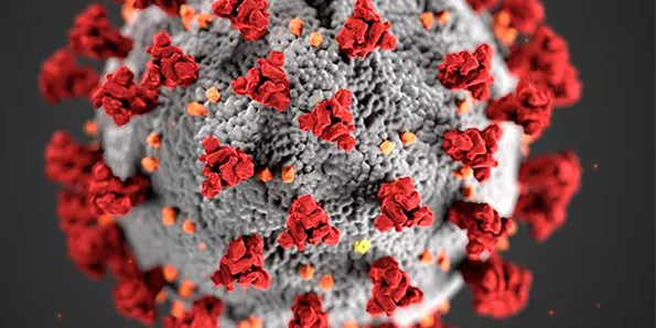Un nou pacient de l'Hospital de Blanes que hi va ingressar per coronavirus SARS-CoV-2 rep l'alta
