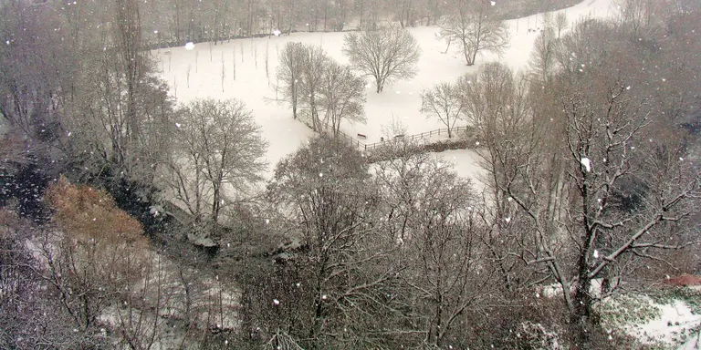 Primera nevada important de la temporada a la Seu