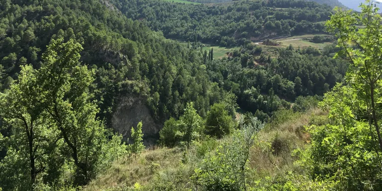 Compromís X Pirineu proposa promoure estudis i publicacions sobre personatges històrics de l'Alt Urgell