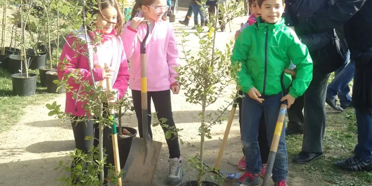 S’han plantat 145 arbres autòctons aquest diumenge a Ca n’Oriol