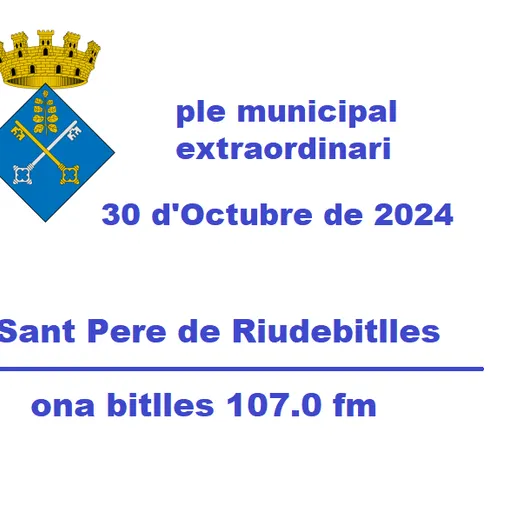 Ple Municipal  Extraordinari del 30 d'Octubre de 2024
