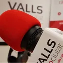 Pessics de llengua
