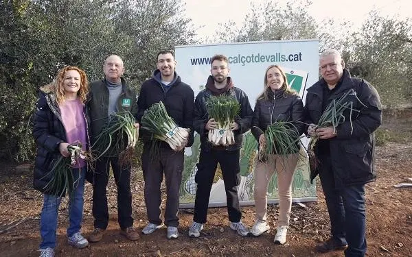 Foto: IGP Calçot de Valls
