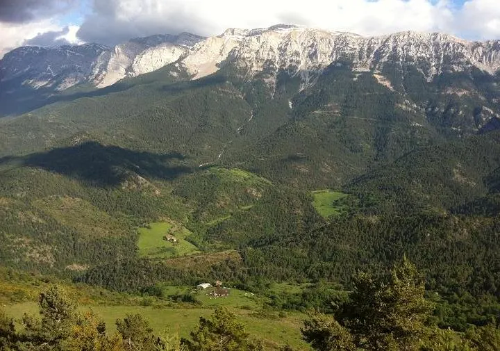 Turó Galliner