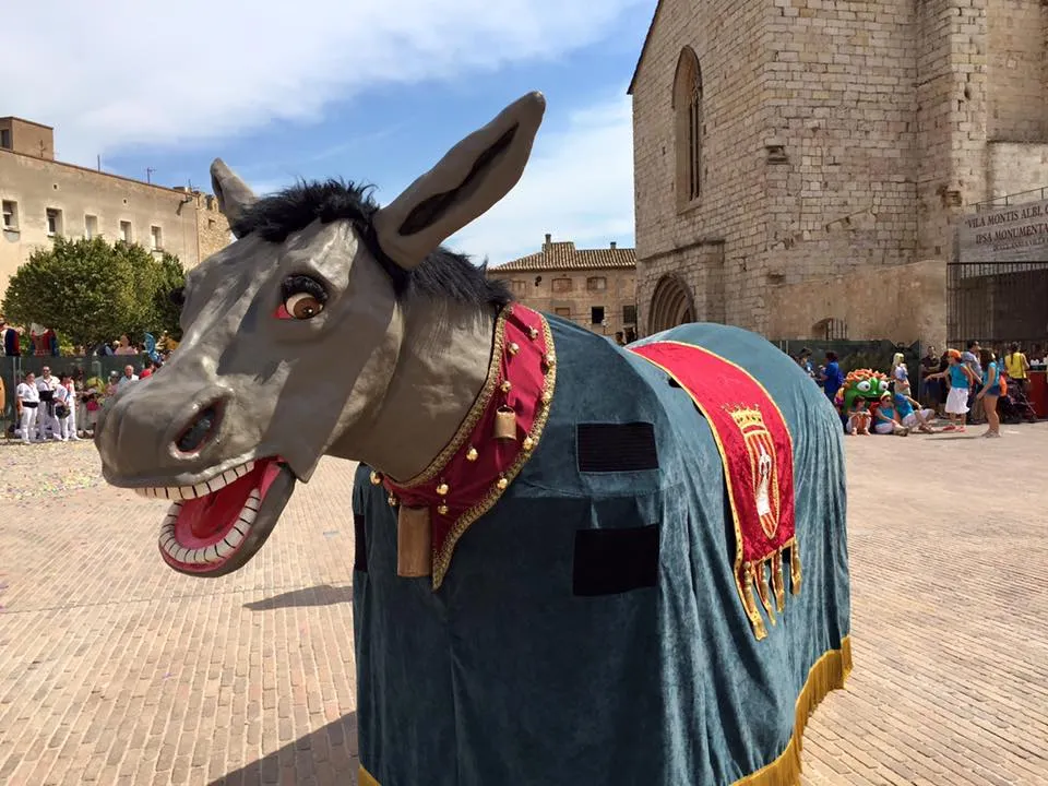 Difícil cita davant d'un equip històric la que va tenir el CNR a Molins de Rei