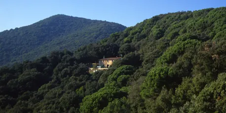 La Diputació de Barcelona inicia el pla de prevenció de foc forestal