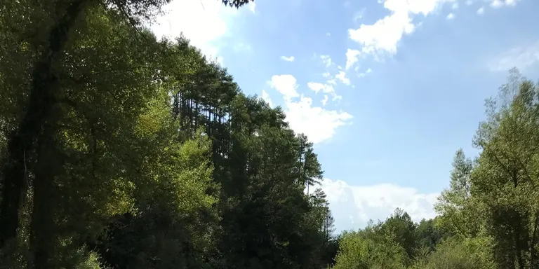 La Ribera Salada serà l'escenari d'una prova pilot per identificar les zones de Catalunya més vulnerables als focs forestals