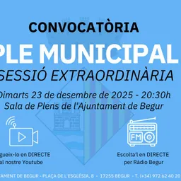 23 de desembre: Ple municipal extraordinari de l’Ajuntament de Begur - episode art