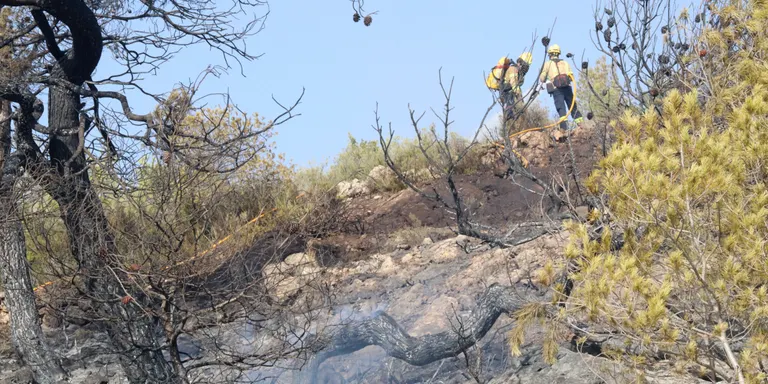 Els Bombers donen per controlat l'incendi de la Figuera, al Priorat