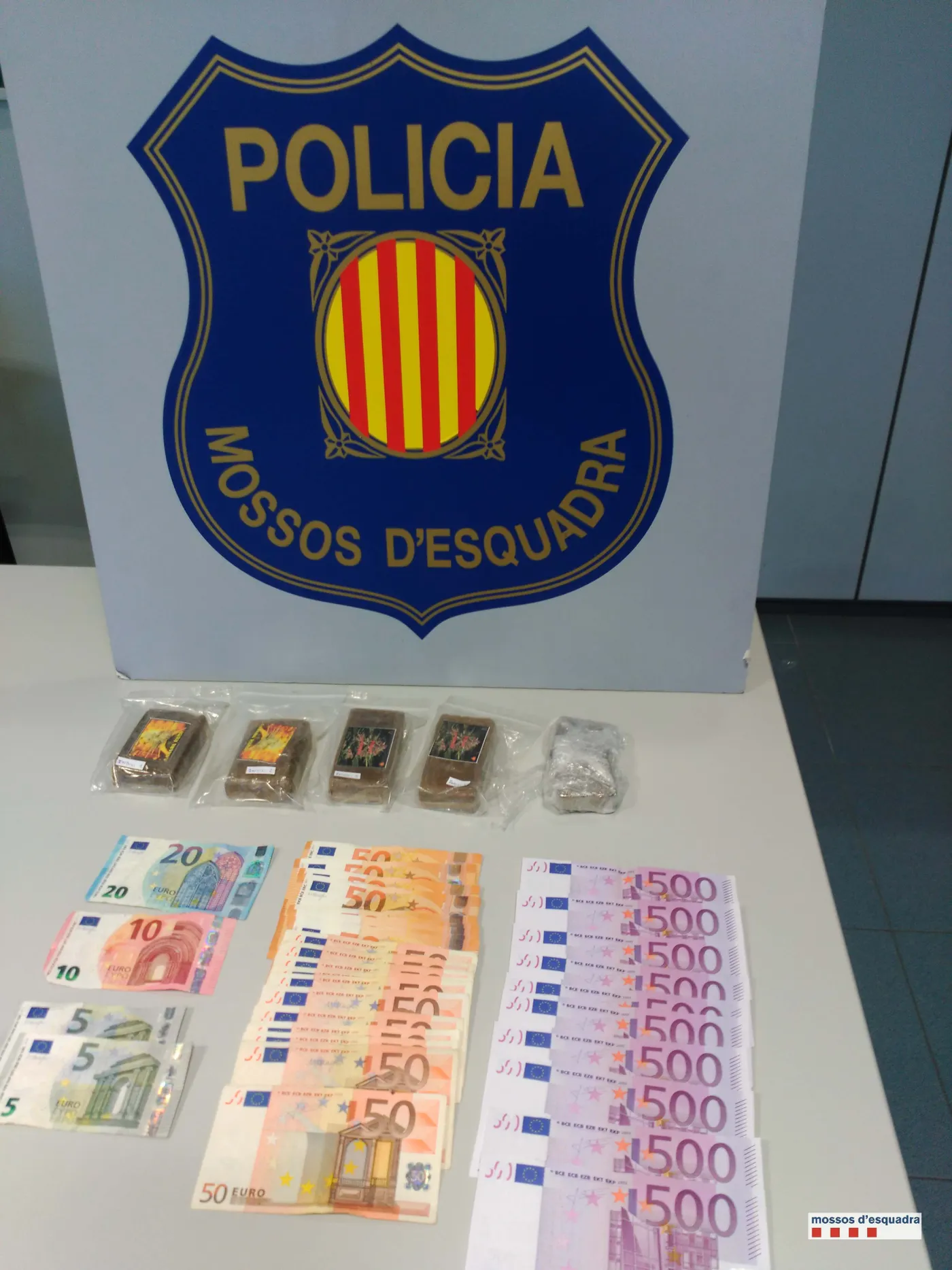 Ingressen a presó dos homes albanesos amb mig quilo d'haixix detinguts a Pineda