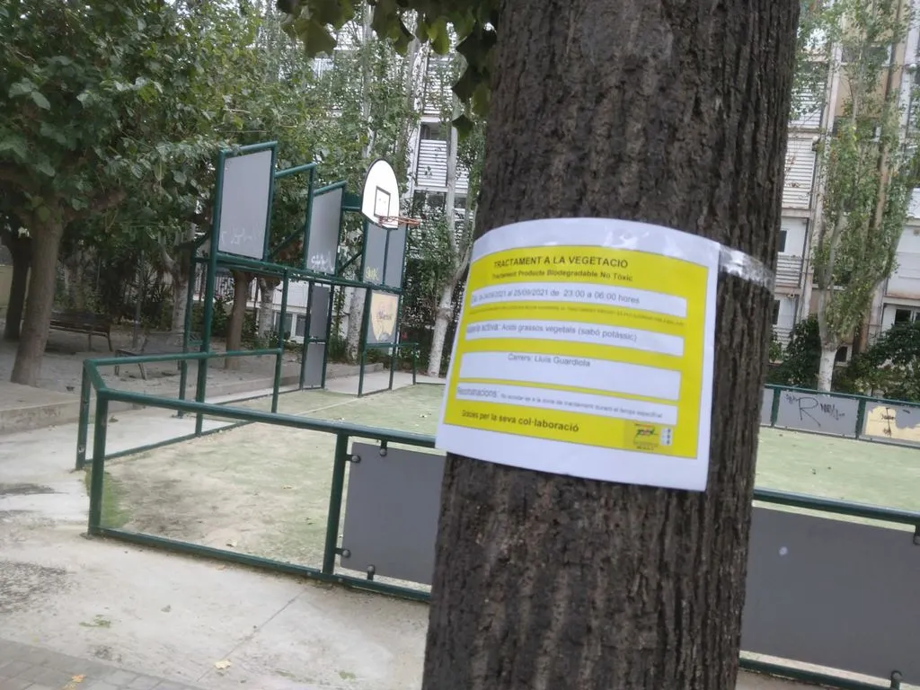 Divendres a la nit, tractament fitosanitari de l’arbrat al carrer Lluís Guardiola