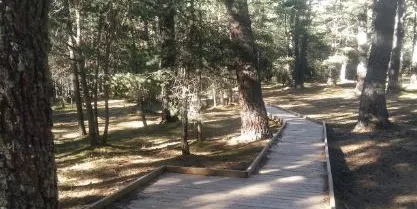 Fase final de l'itinerari adaptat per a persones amb mobilitat reduïda a Sant Joan de l'Erm