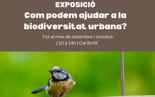 Foto: Ajuntament de Torredembarra
