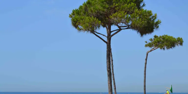 El turisme català és el majoritari al Maresme durant el mes de juny i representa el 80% del total