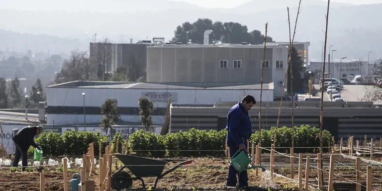 Els Horts de Cova Solera s'inauguraran el 30 de març