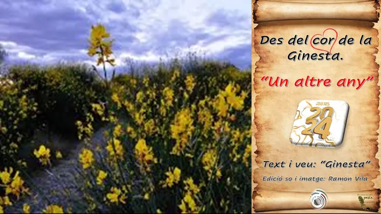 Des del cor de la “Ginesta”, ens felicita i desitja un Bon Any Nou amb!: “Un altre Any”