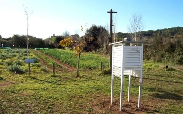 Foto: Hort de la Sínia