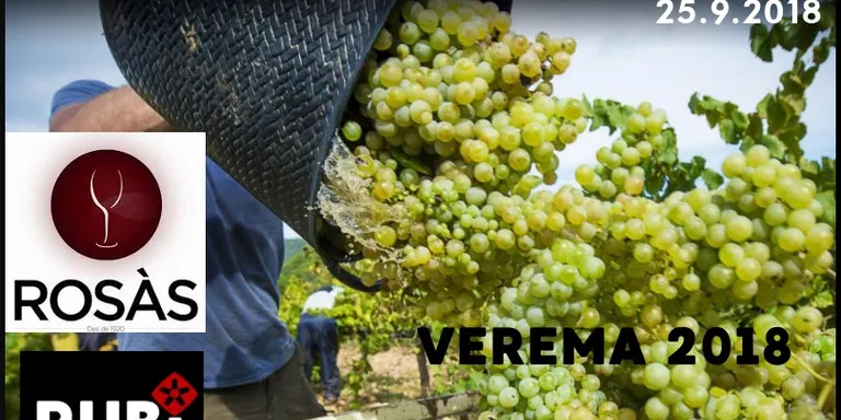 Dies de Vins i Rosàs amb Marià Rosàs - VEREMA 2018