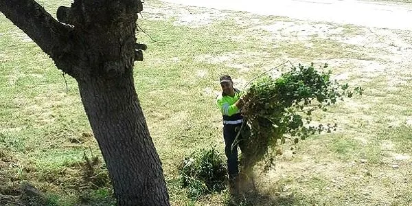 El Consell Comarcal del Tarragonès promou més d’una vintena de llocs de treball a través del programa ‘Treball i Formació’