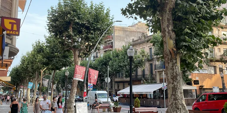 La poda intensiva dels plataners de la Riera i el Passeig Xifré es farà a la tardor