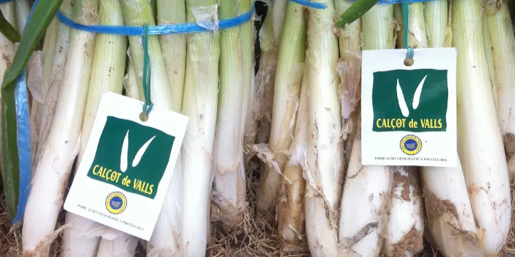 25 anys de la IGP Calçot de Valls