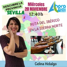 #24 - Gelves en la onda - Descubre la Provincia del 20/11/2024 - episode art
