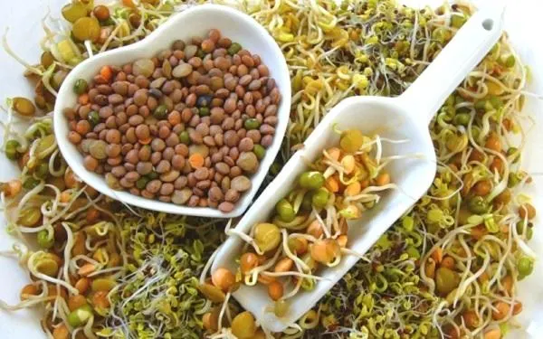 La macrobiòtica i la dietètica energètica reprenen el programa d’actes del Dia Internacional de la Dona d’Altafulla