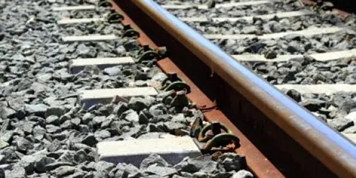 Mitma activa la primera fase per adquirir els abonaments gratuïts de Rodalies i Mitja Distància