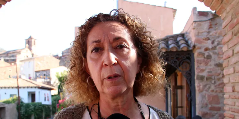 Capella demanarà una reunió urgent amb el Ministeri de Transports per frenar les incidències a Rodalies