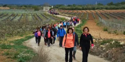 Més de 400 persones participen a la Caminada Popular del Patronat d’Esports