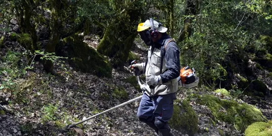Tretze ajuntaments del Pallars Jussà es beneficien del programa Treball i Formació