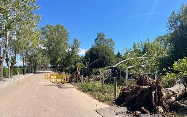 Foto: Altafulla Ràdio