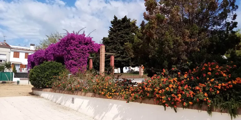 ‘Crònica’ del 16 d’agost