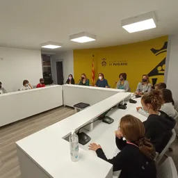 Ple Municipal Consell adolescents - episode art