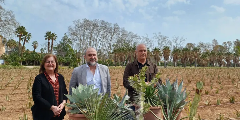El Parc Samà s’adapta a la situació de sequera amb la plantació de 4.000 plantes d’àloe vera