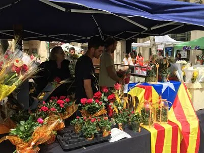ESPECIAL SANT JORDI: La rosa, la protagonista de la jornada