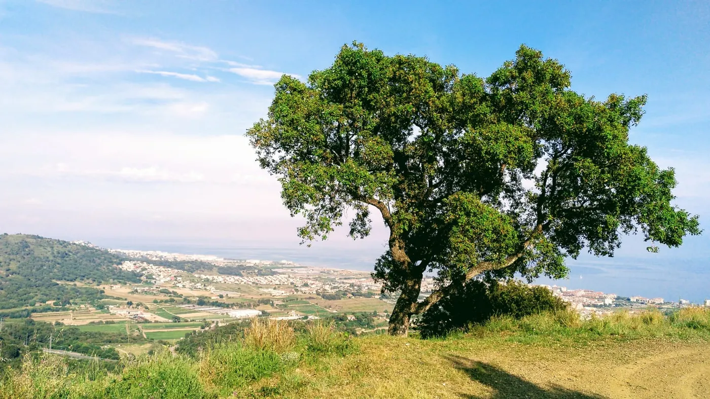 Bon temps però canvis que començaran diumenge i la setmana vinent