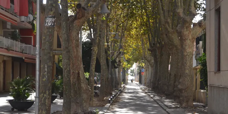 Jornada tranquil·la i ambient suau
