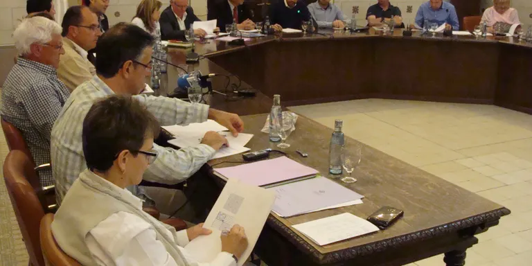 Presentada al ple la memòria d'actuacions del Defensor del ciutadà de la Seu