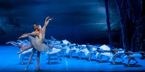 Us convidem a veure "El llac dels cignes” del St. Petersburg Festival Ballet al 'notRubí'