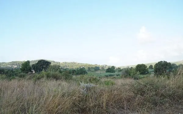 Foto: Arxiu - Altafulla Ràdio
