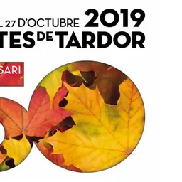 Entrevistes de la Plaça Mireia del 18/10/2019 — Excalibur: por i poder en clau de titelles — residències artístiques, TV en directe i cultura com a resistència a Sant Just - episode art