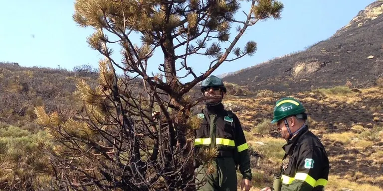 Els Bombers esperen donar per estabilitzat aquest dimecres el foc de la Guingueta d'Àneu