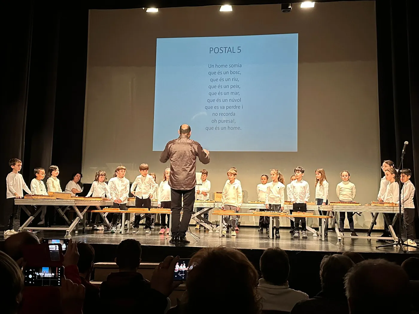 La 12a Xilofonada Poètica arriba amb un únic concert