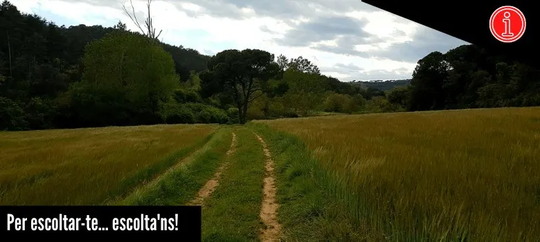 El grup de marxa nòrdica reprèn el camí