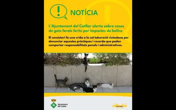 Foto: Ajuntament del Catllar